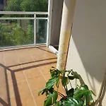 Pacos Apartment Fuengirola